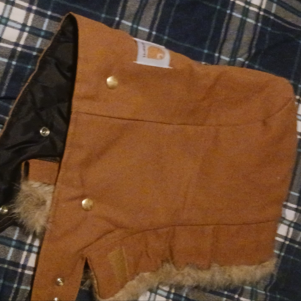 Carhartt hood